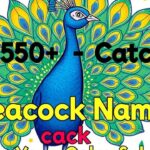 Best 550+ Catchy Peacock Names for Your Colorful Pet