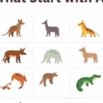 Animals Names That Start with A [Fun Facts & Complete List]