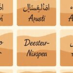 Top 450+ Camel Names: From Arabic to Desert-Inspired and Funny to Cute