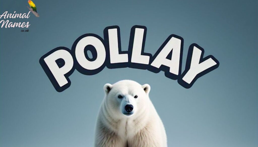 Top 550+ Catchy & Trendy Polar Bear Names [Perfect Ideas]