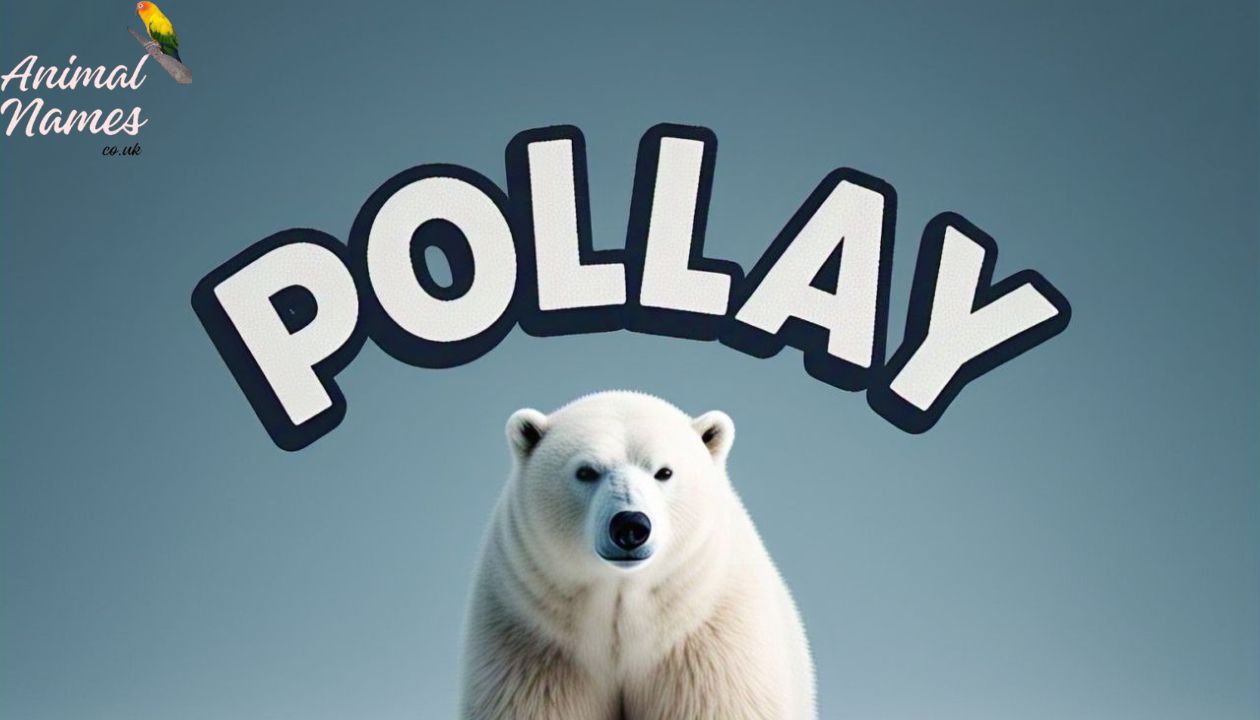 Top 550+ Catchy & Trendy Polar Bear Names [Perfect Ideas]